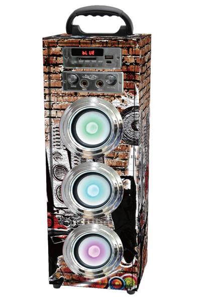 Alt. Karaoke C/FM/BT/USB 2Mic 90W Grafiti Hamann 